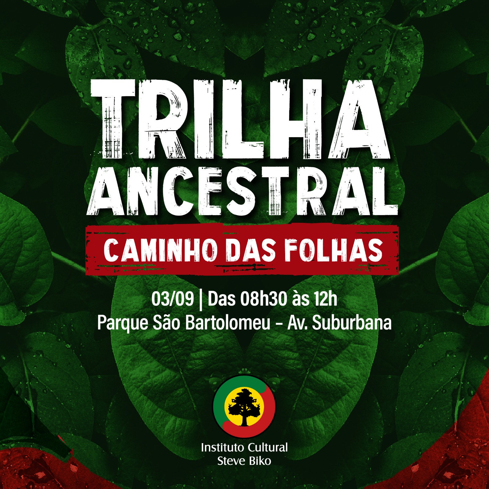 TRILHA ANCESTRAL - CAMINHO DA FOLHAS